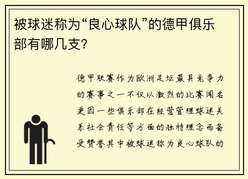 被球迷称为“良心球队”的德甲俱乐部有哪几支？