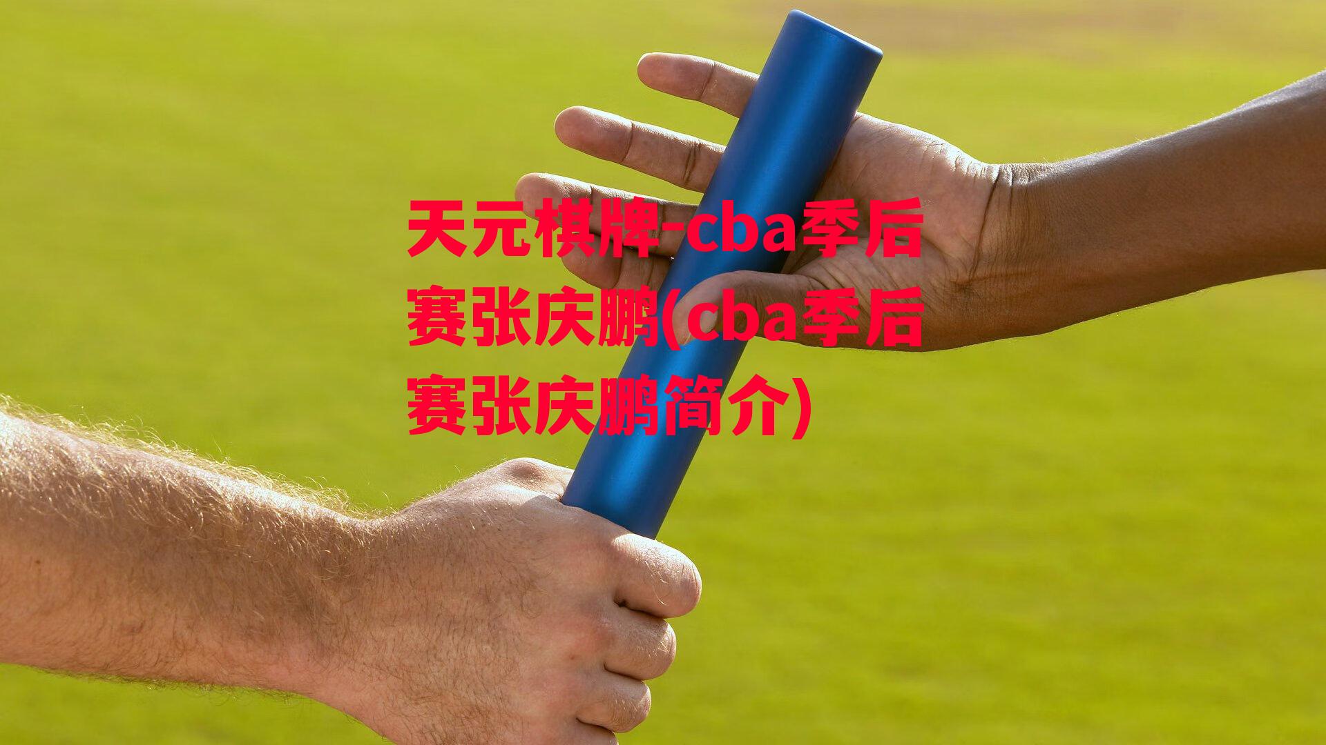 天元棋牌-cba季后赛张庆鹏(cba季后赛张庆鹏简介)